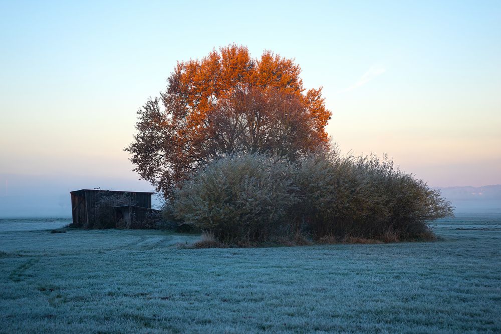 Früh am Morgen