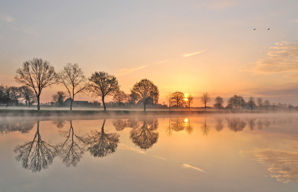 Früh am Morgen II