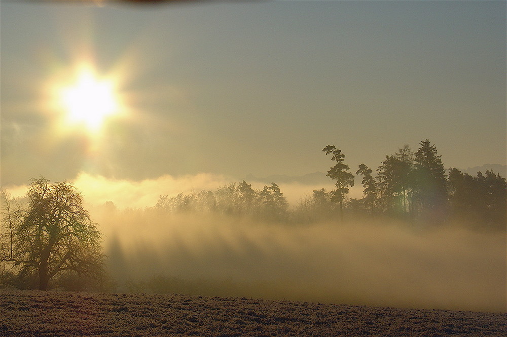 Früh am Morgen im Herbst