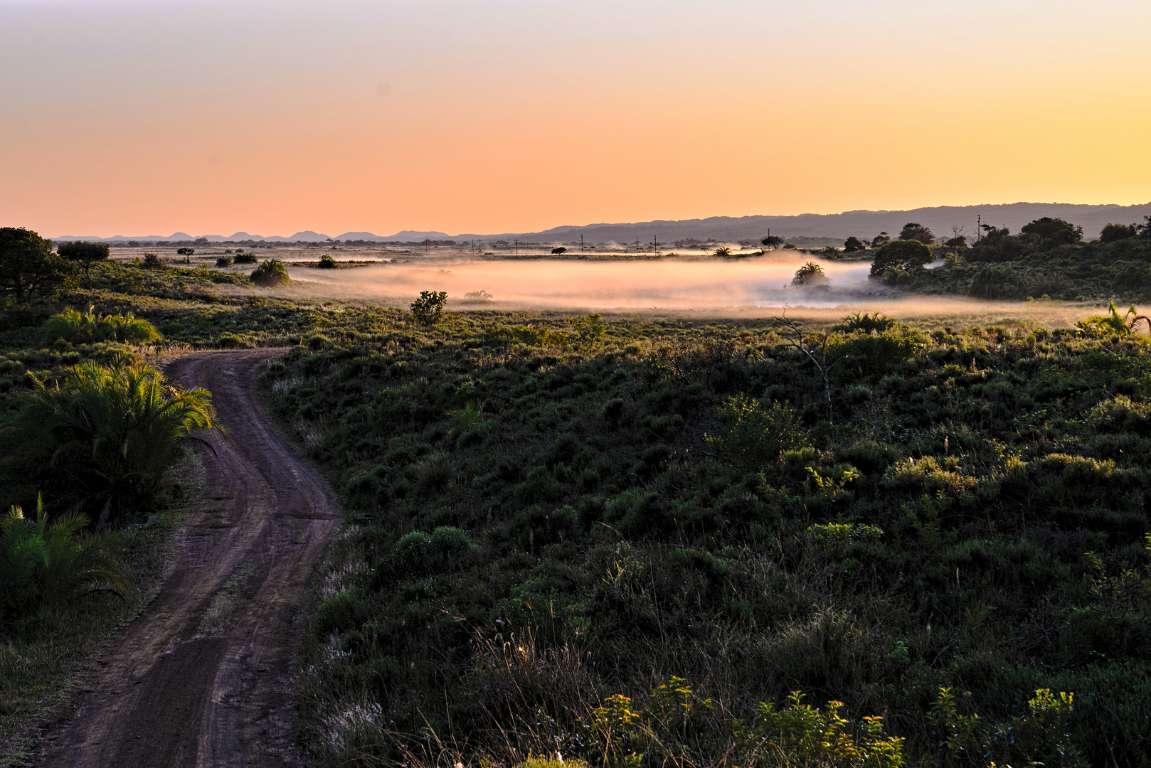 Früh am Morgen im Imfolozi Game Reserve