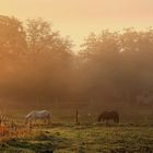 Früh am Morgen in Bayern