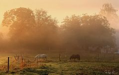 Früh am Morgen in Bayern