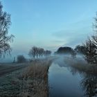 Früh am Morgen in der Lewitz