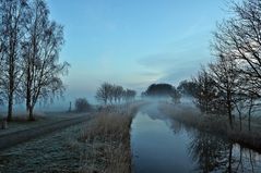 Früh am Morgen in der Lewitz