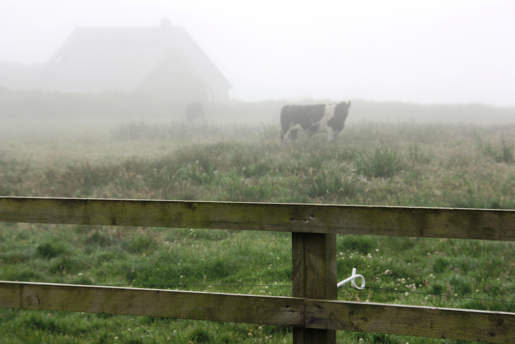 Früh am Morgen in Irland