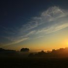 früh am Morgen ist es am schönsten in der Natur