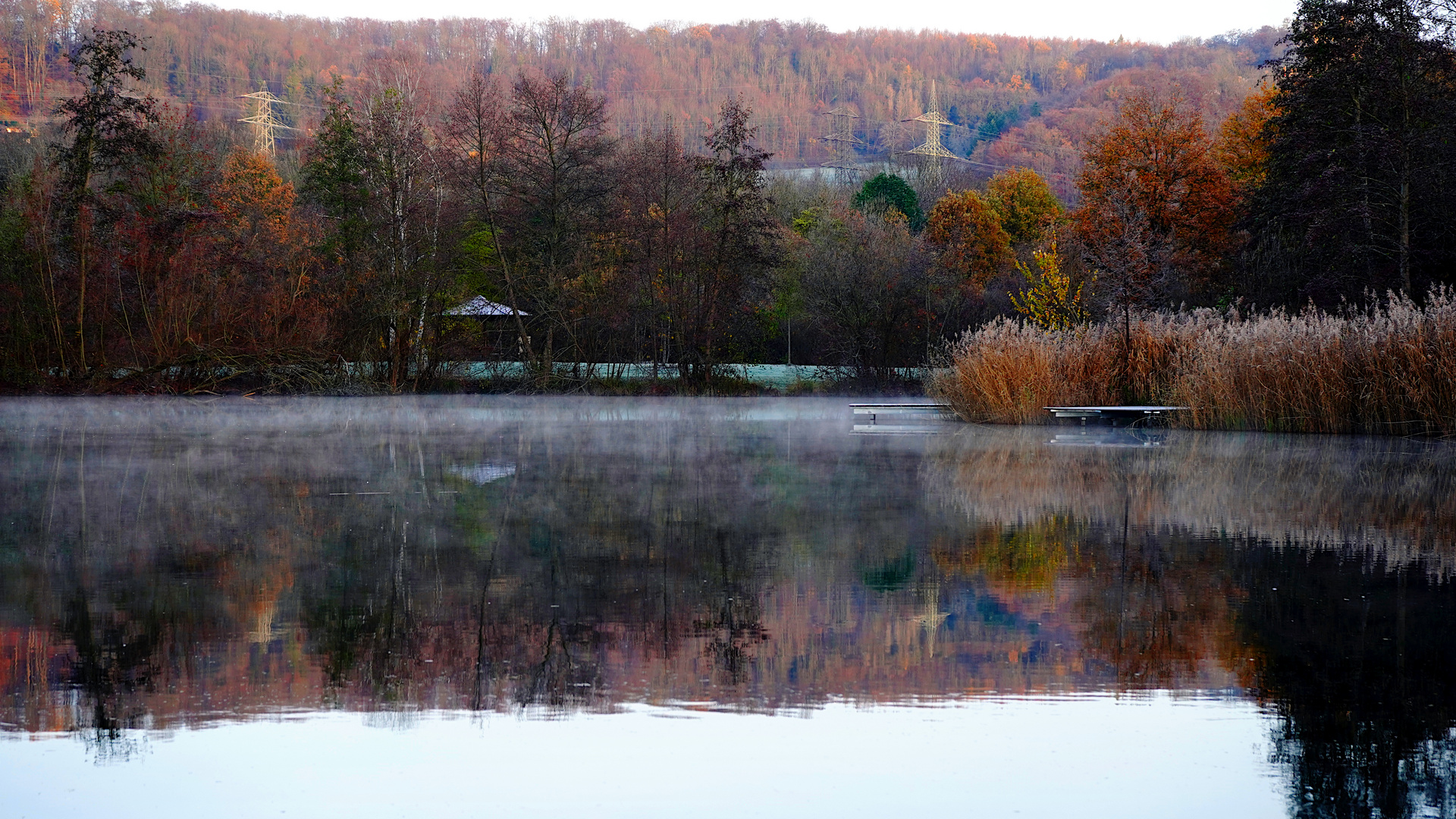 Früh am See