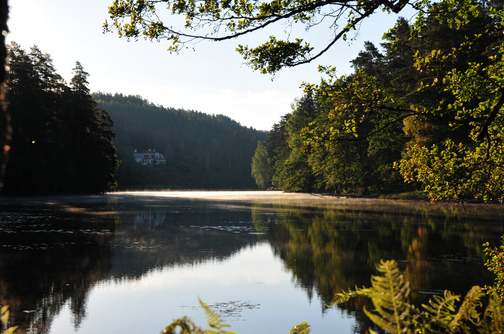 früh am See