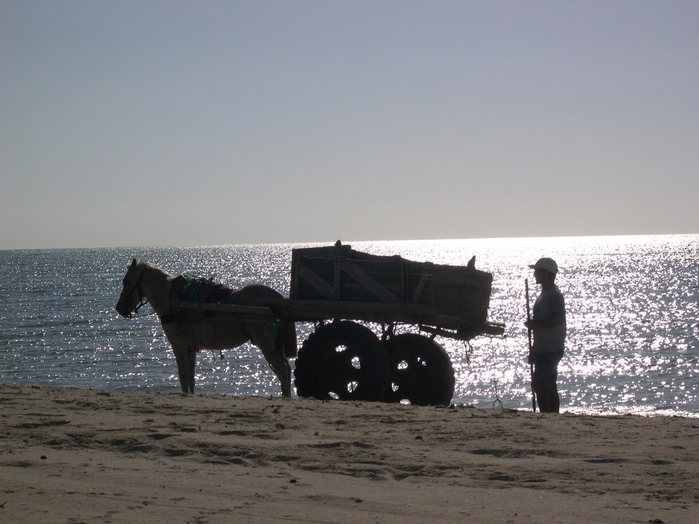 früh am strand