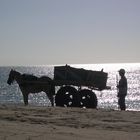 früh am strand