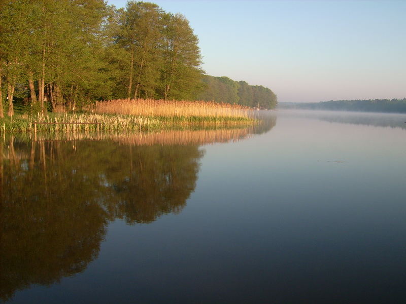 früh am Wentowsee....