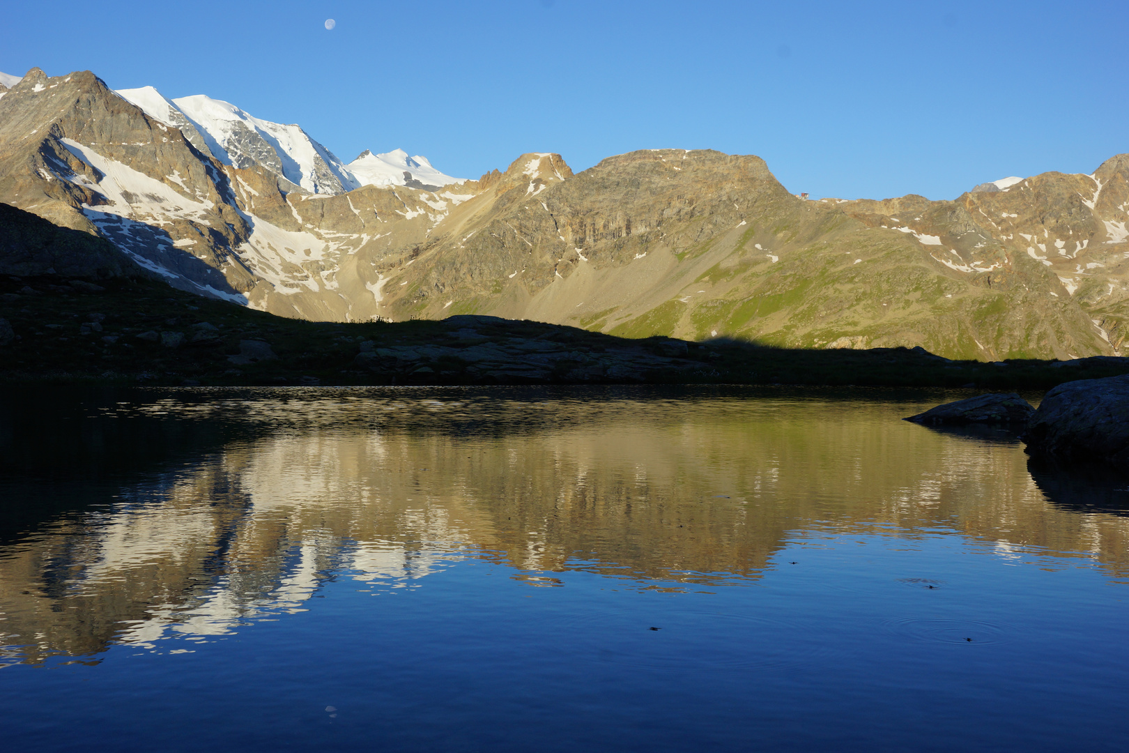 Früh an der Lagalb ...  ( 2/2 )