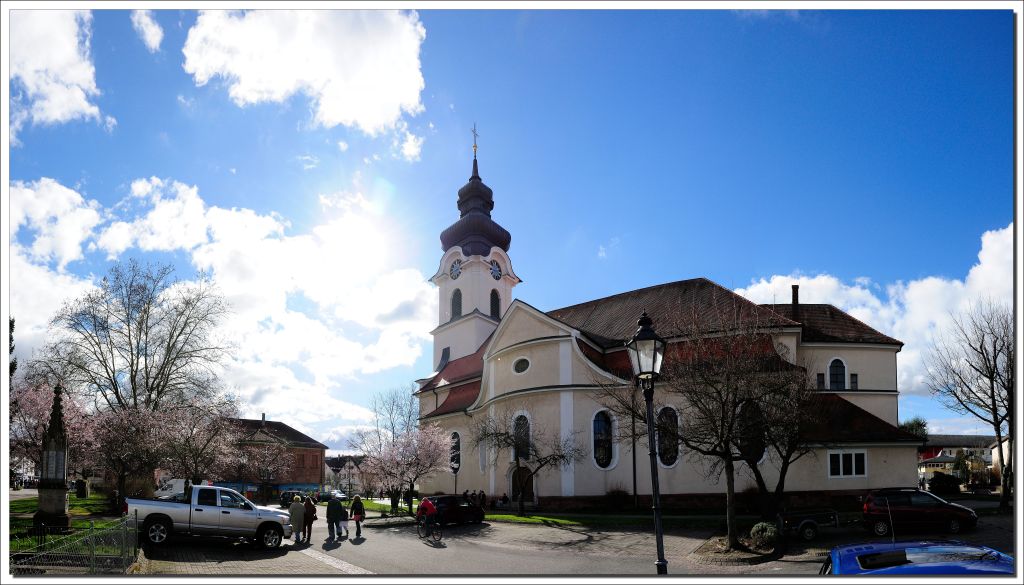 Früh-Frühling in Friesenheim