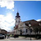 Früh-Frühling in Friesenheim