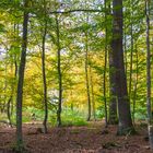 Früh-Herbst im Sauerland