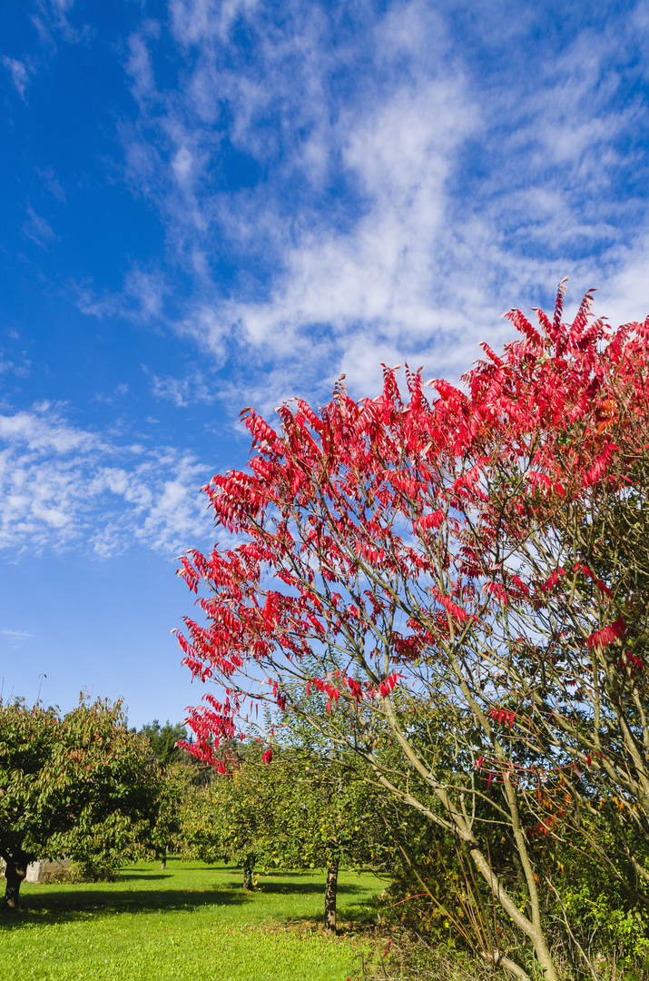 Früh-Herbst in Kalchreuth bei Nürnberg_1