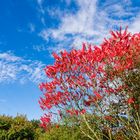 Früh-Herbst in Kalchreuth bei Nürnberg_1