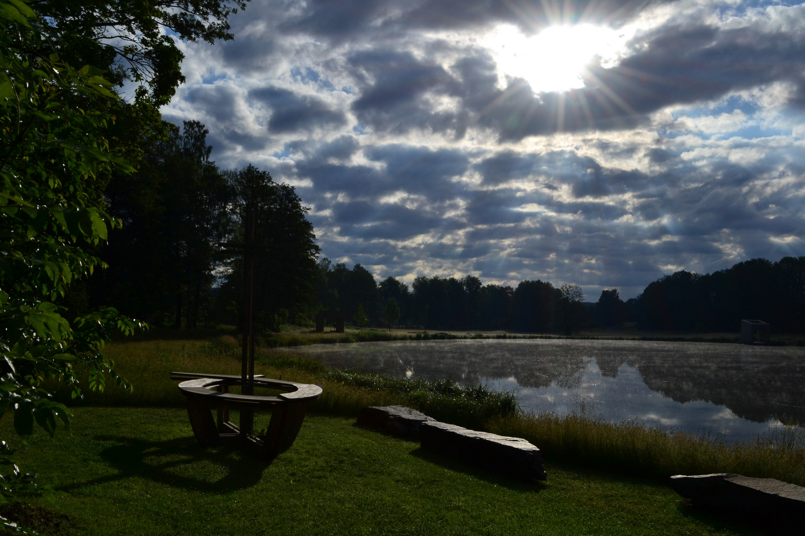 Früh im Fischhofpark Tirschenreuth - 16. Juni 2015