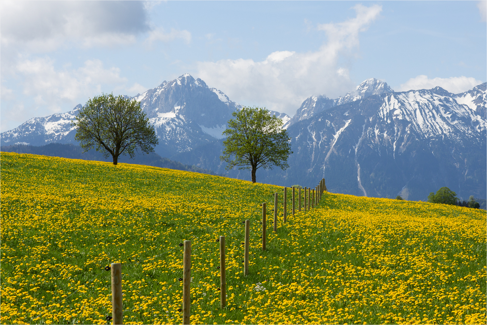 Früh im Jahr