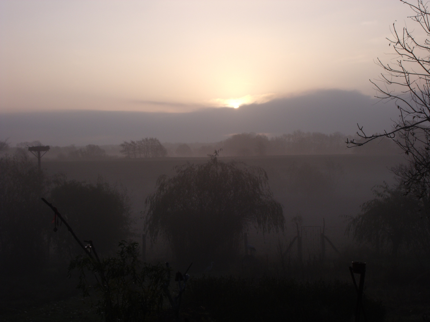 Früh, kalt, undurchsichtig, doch die Sonne ist nicht unterzukriegen