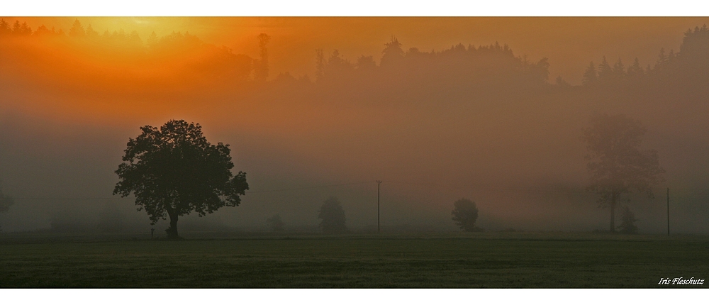 Früh morgens...