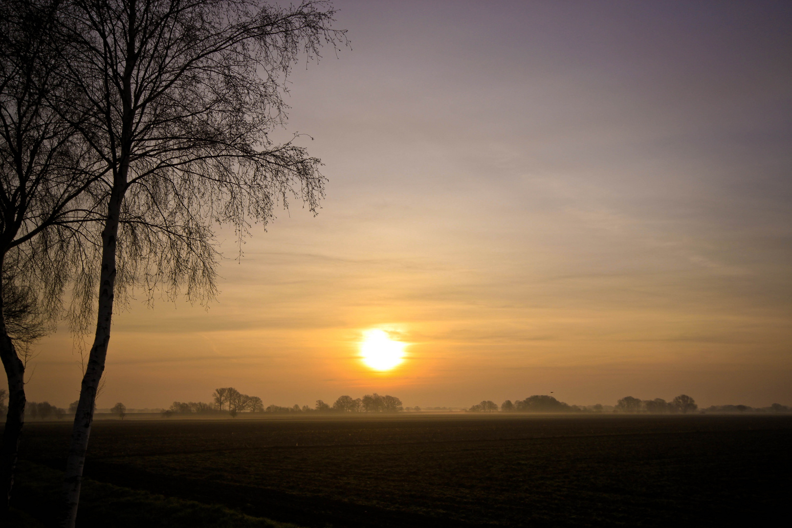 Früh Morgens ......