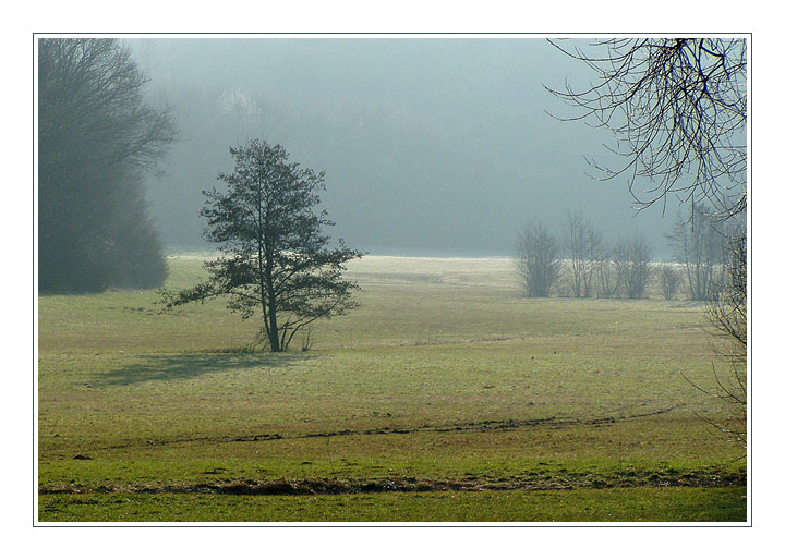 Früh Morgens