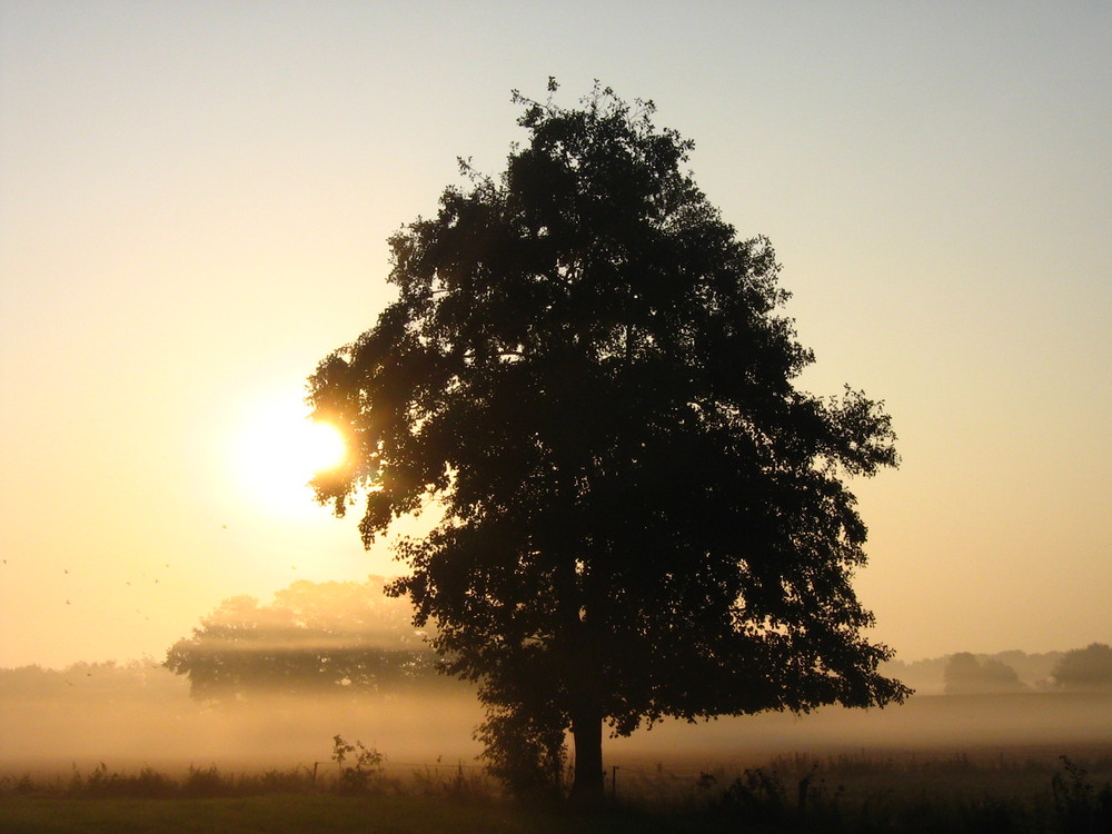 Früh morgens...