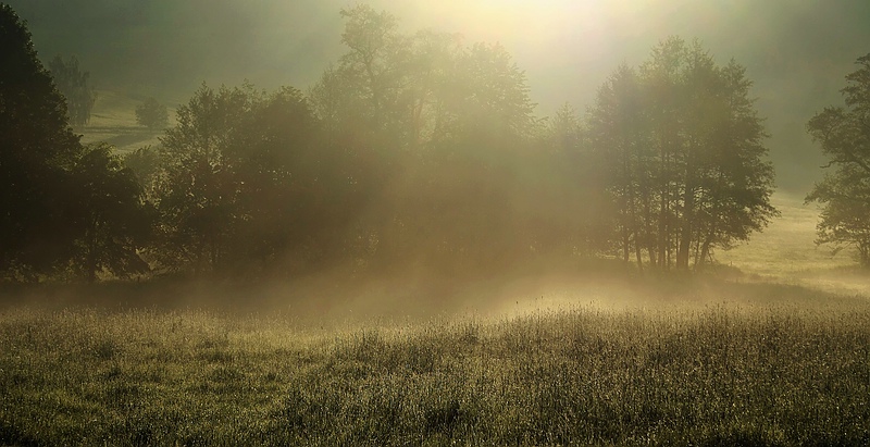 früh morgens