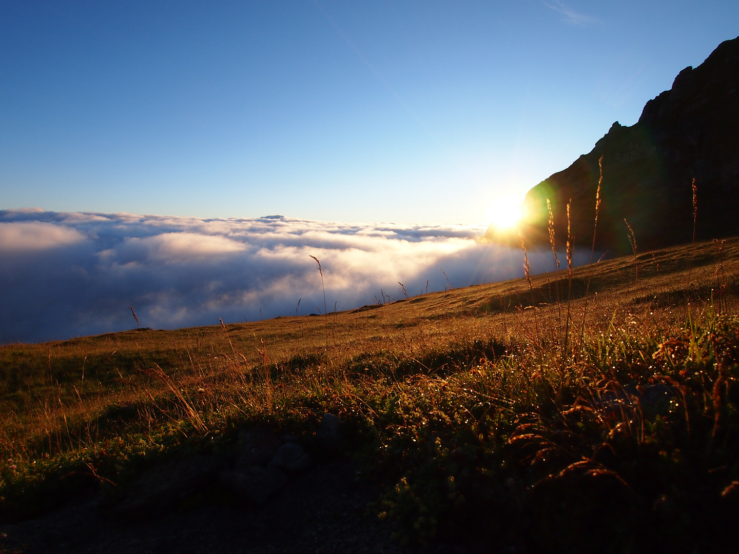 Früh Morgens