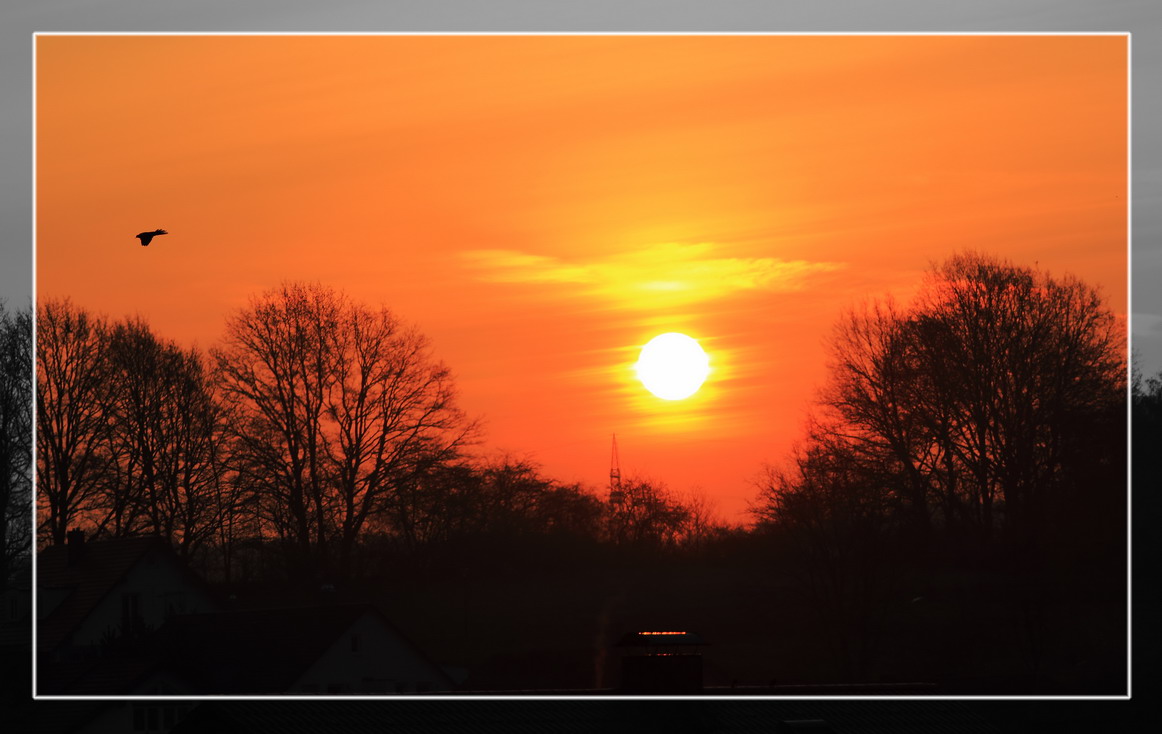 Früh Morgens 5:30