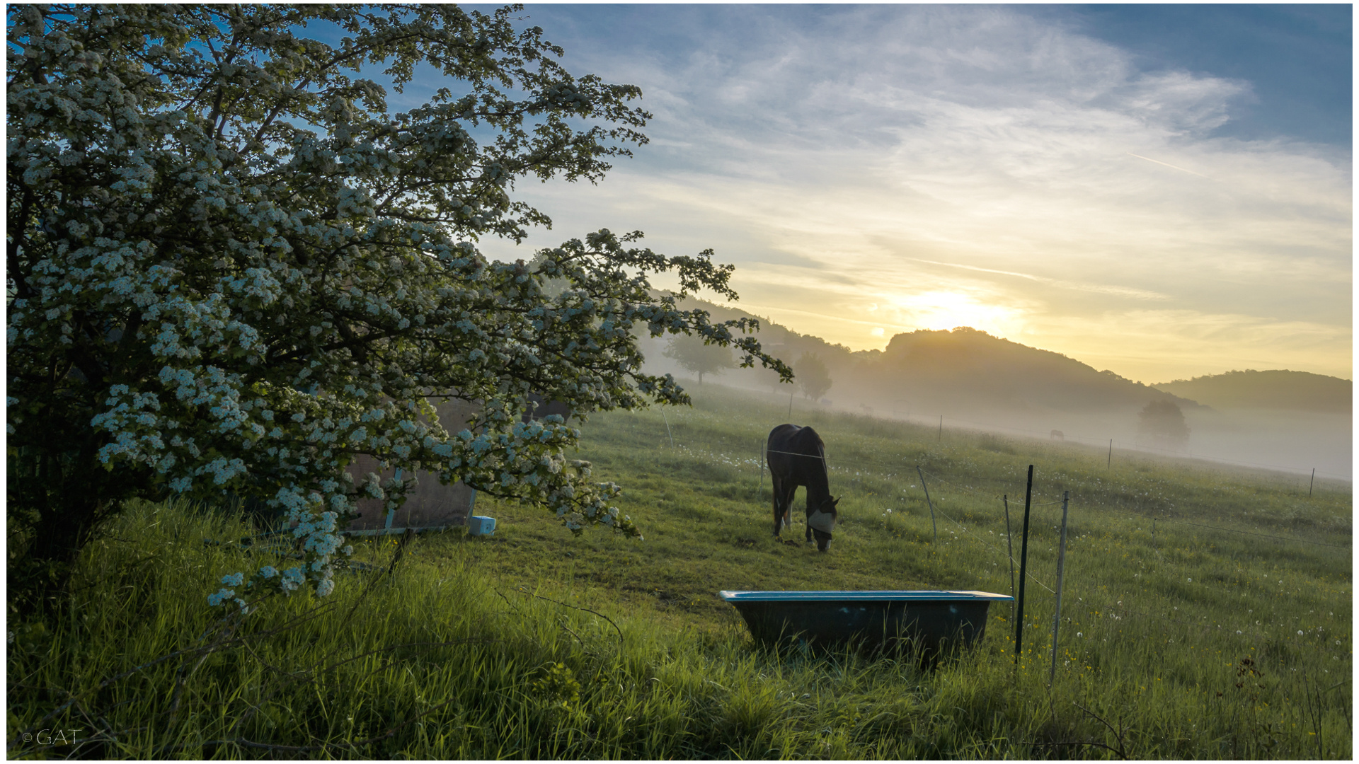 Früh Morgens 