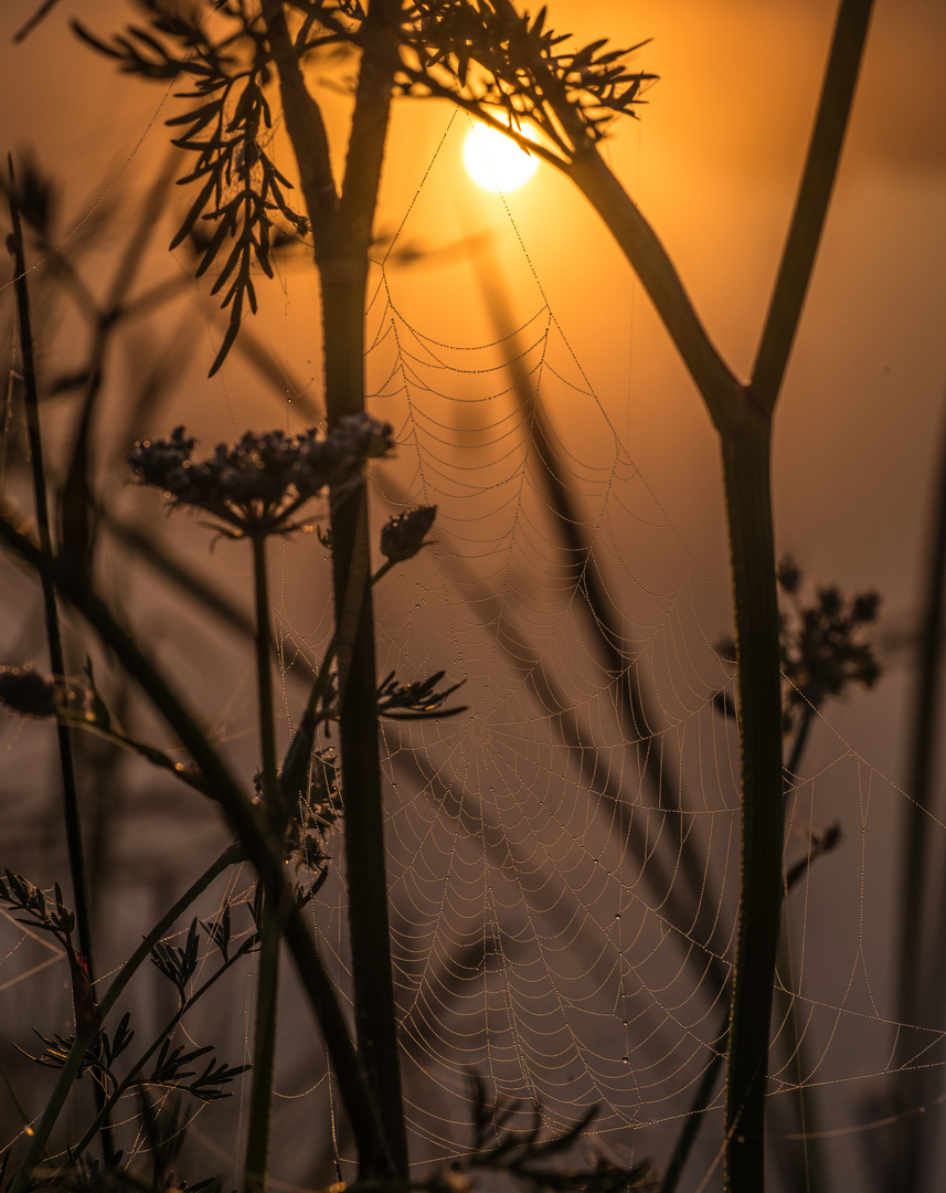 Früh morgens 