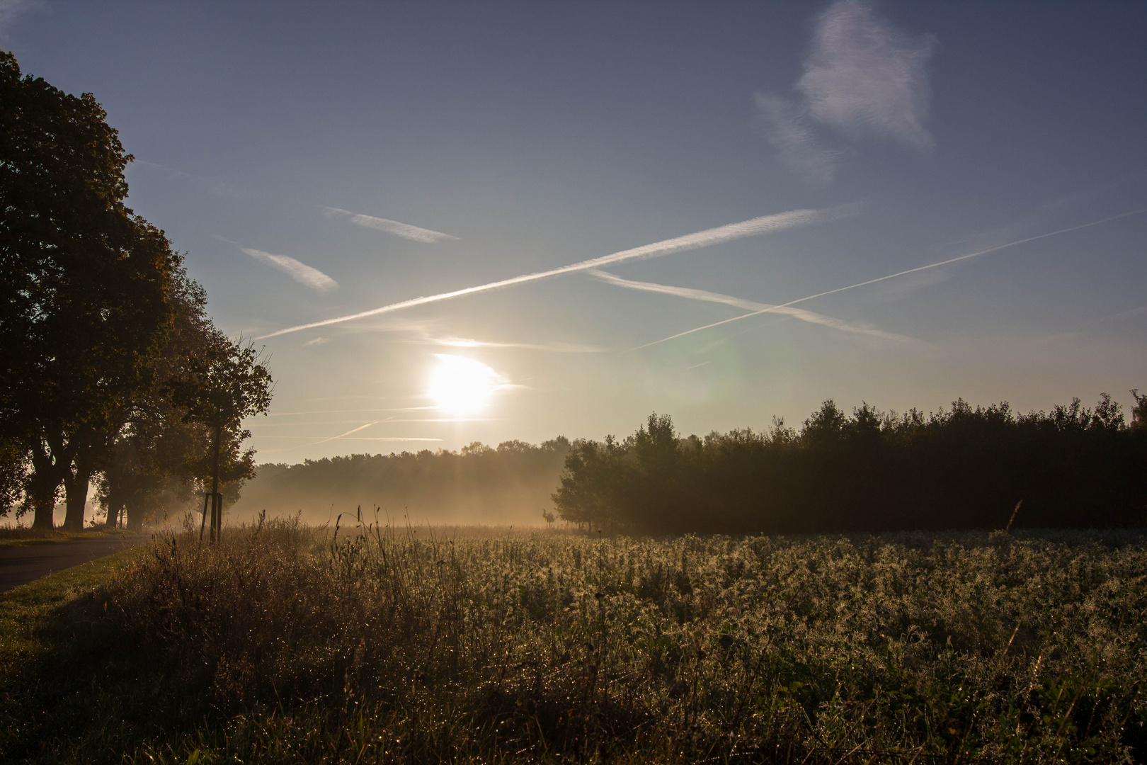 Früh morgens ...