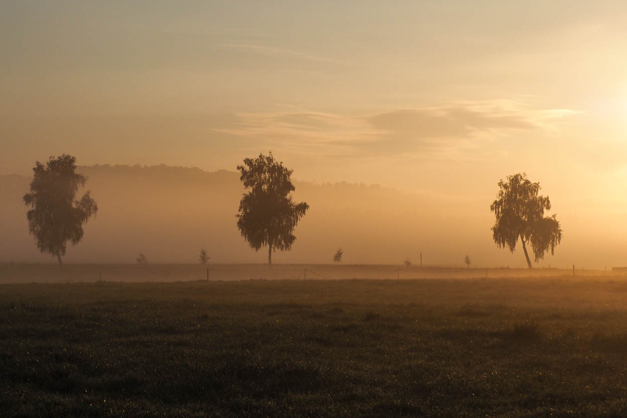 früh morgens