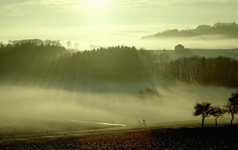 Früh morgens