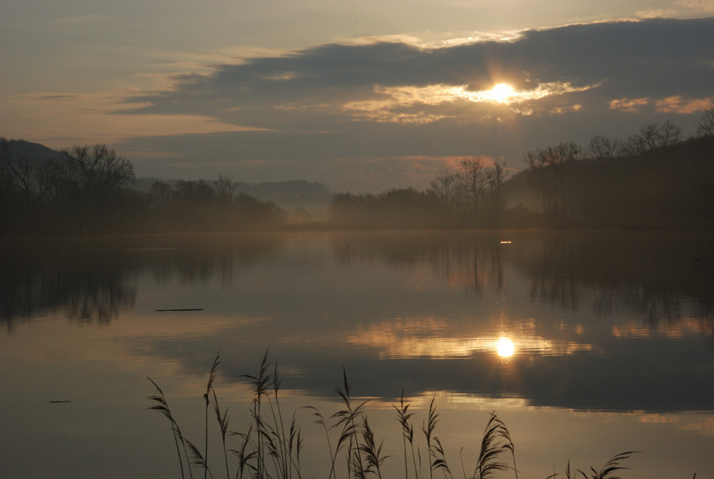 Früh Morgens