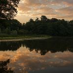 Früh morgens am Aprather Mühlenteich