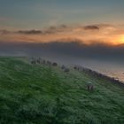 Früh morgens am Deich vom Rantumer Becken auf Sylt