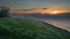 Früh morgens am Deich vom Rantumer Becken auf Sylt