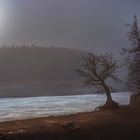 früh morgens am Edersee