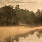 Früh morgens am Ellisee