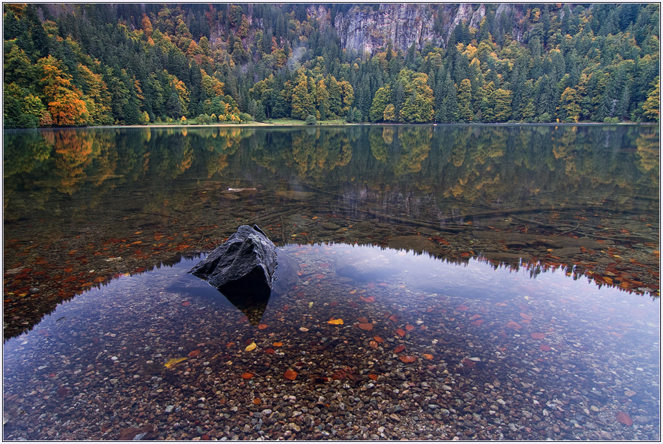 Früh morgens am Feldsee