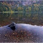 Früh morgens am Feldsee