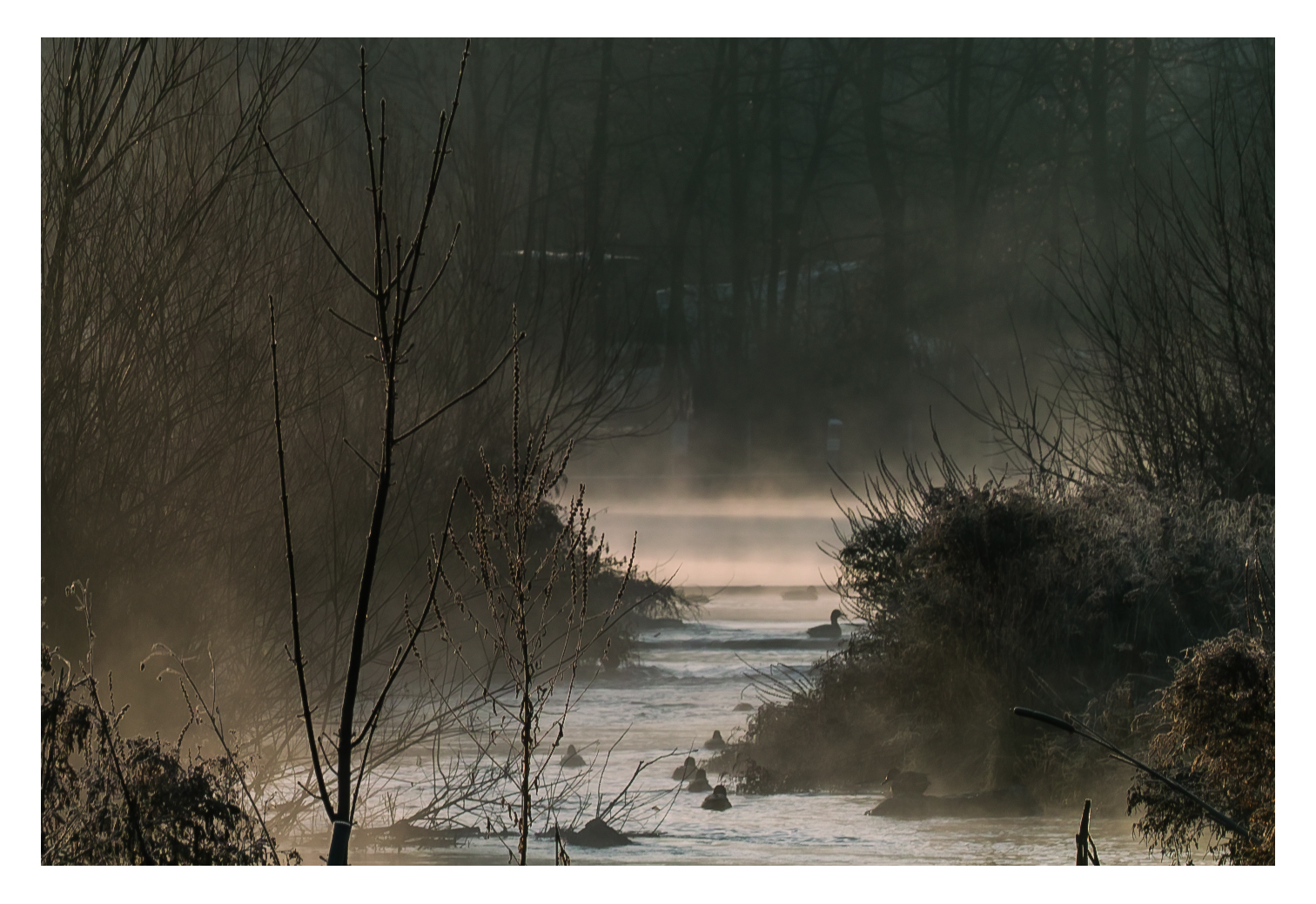 Früh Morgens am Fluss