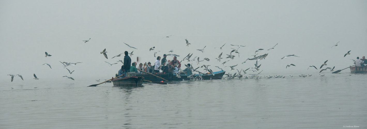 Früh Morgens am Ganges