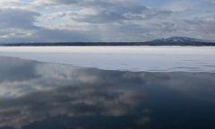 Früh morgens am Lake Yellowstone (II)