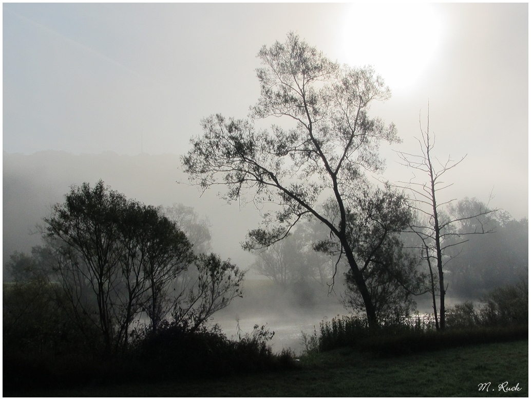 Früh Morgens am Main ,