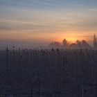 Früh morgens am Niederrhein