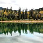 Früh Morgens am Patricia Lake (2)